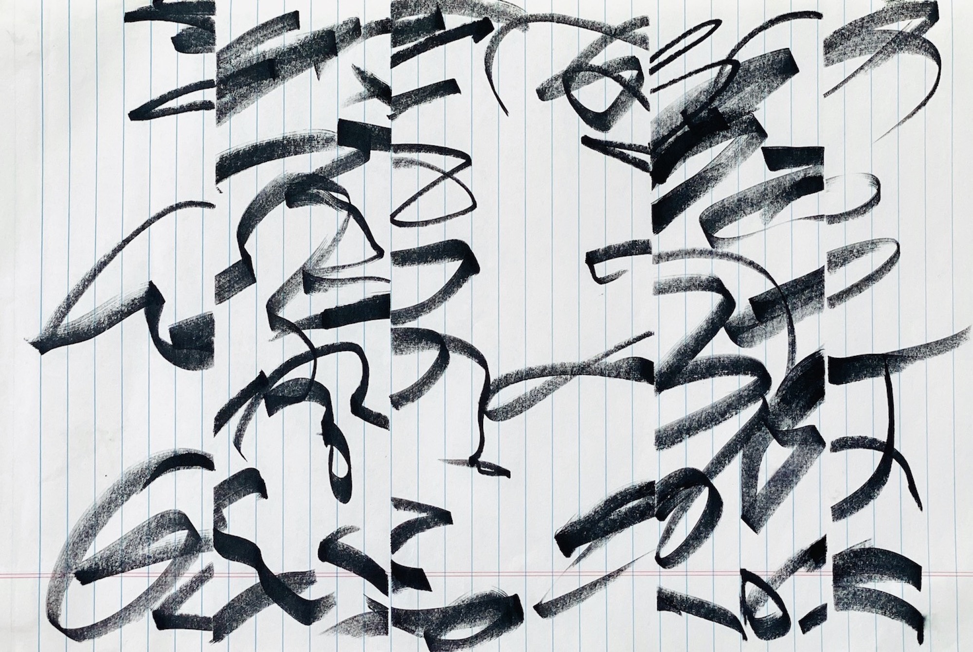 Black & White Shelter 3