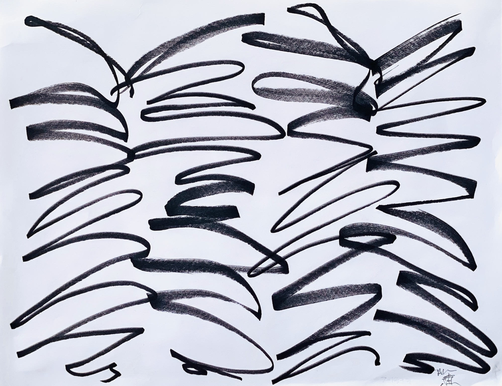 Black & White Shelter 6