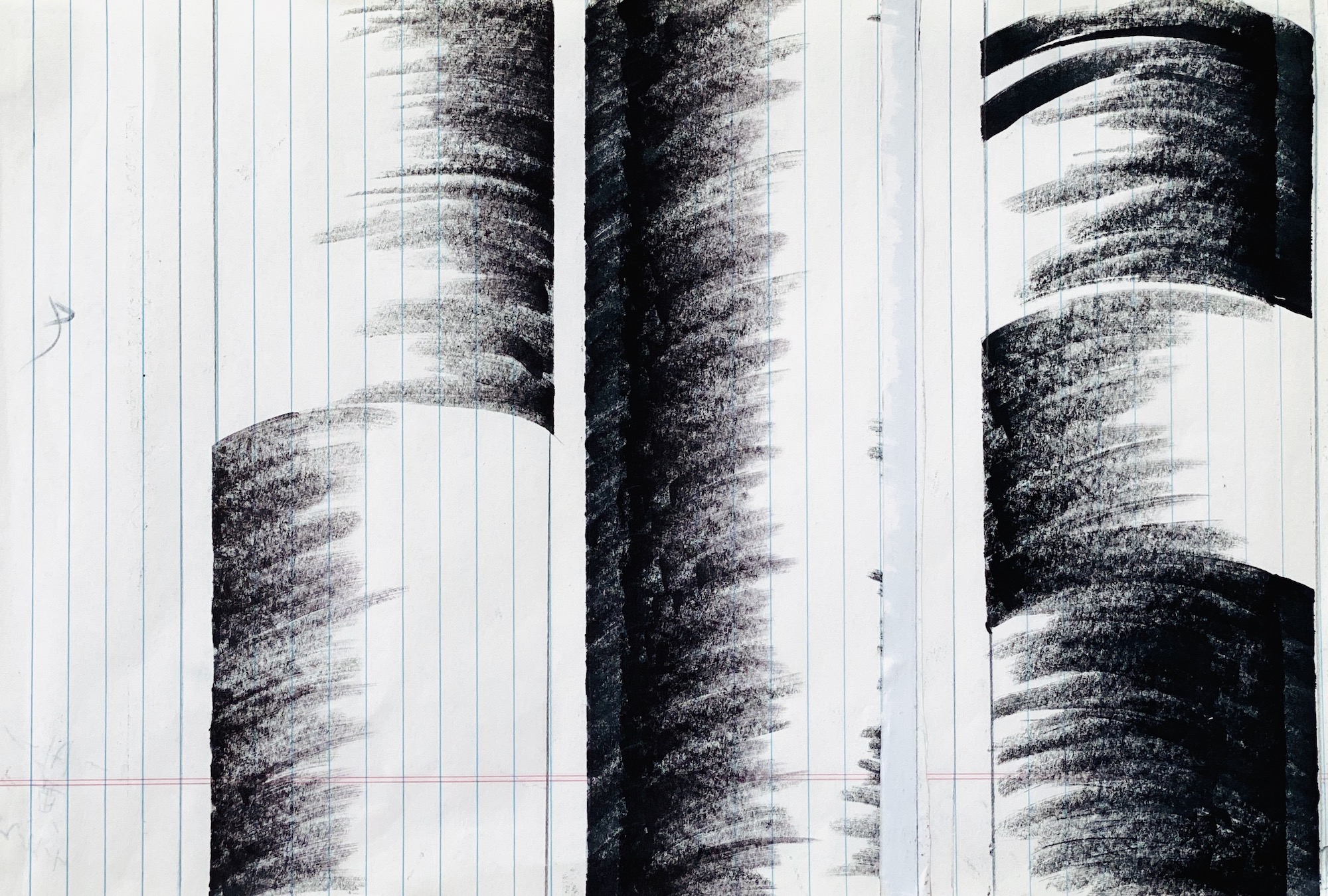 Black & White Shelter 7