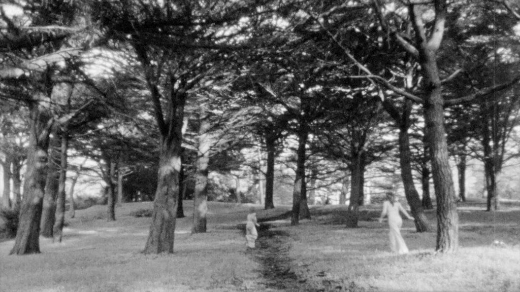 This image has an empty alt attribute; its file name is moving-still-8-1.jpg